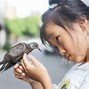 Mimpi Dapat Burung Apa Artinya Ya